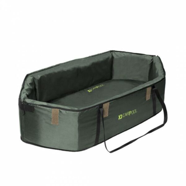 DELPHIN CARPPOOL - Imagen 2