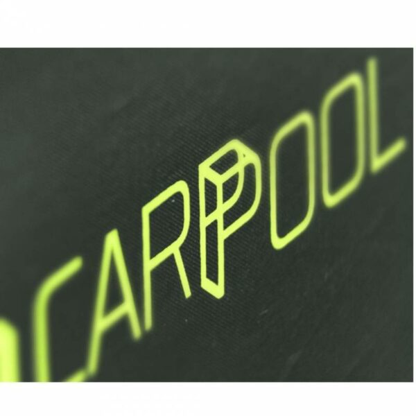 DELPHIN CARPPOOL - Imagen 4