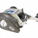 Mikado Rainbird