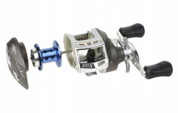 Mikado Rainbird - Imagen 2