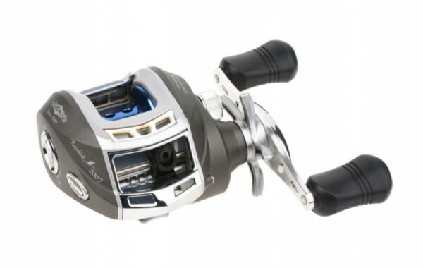 Mikado Rainbird - Imagen 3