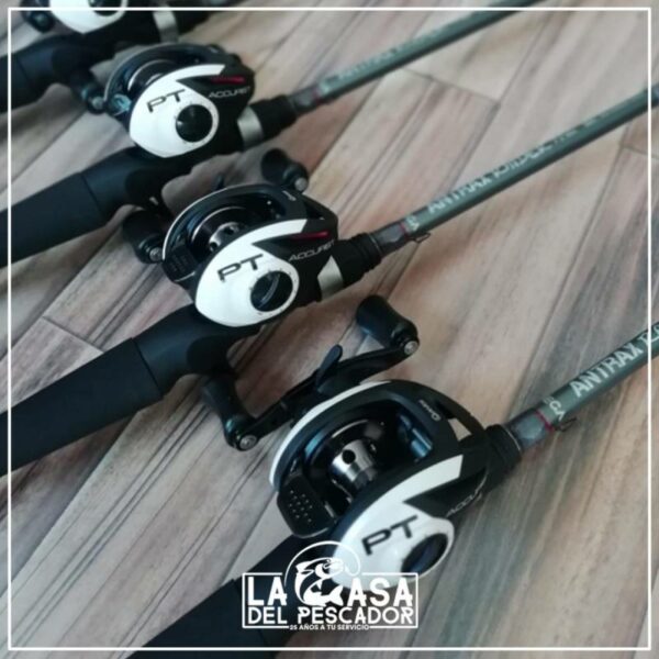CAÑA VEGA ANTRAX RAIDER 7.2MH+QUANTUM ACURIST - Imagen 3
