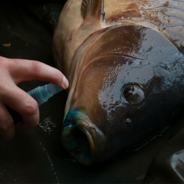 GARDNER Intensive Care (Carp Spray) - Imagen 4