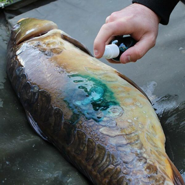 GARDNER Intensive Care (Carp Spray) - Imagen 5