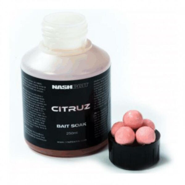DIP CITRUZ NASH