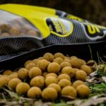 PROELITE BAITS PIÑA SCOPEX BOILIES 20MM 800GRAMOS