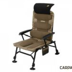 DELPHIN SILLA ERGONIA CARPTH DE LUJO