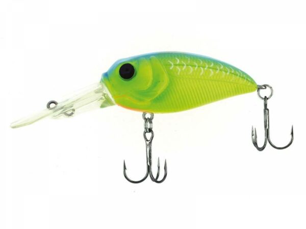 MOLIX SCULPO DR