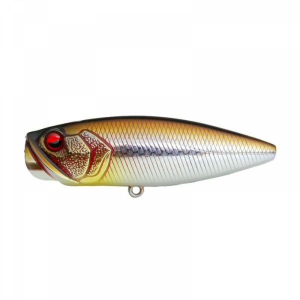 Raid Japan Two Side