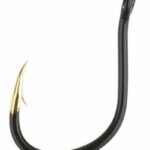 Mikado Golden Point Chinu W / R