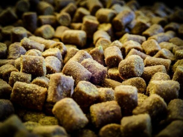 PROELITE BAITS SWEET DREAMS PELLET 6 MM 1 KILO