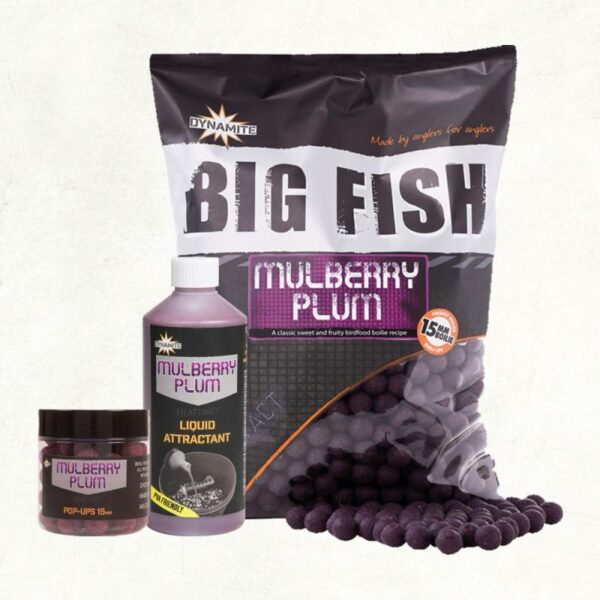DYNAMITE BAITS BOILIES MULBERRY PLUM 20MM 1 KILO