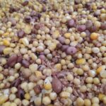 SUPER BAITS Mixtura 5 kilos GROSS