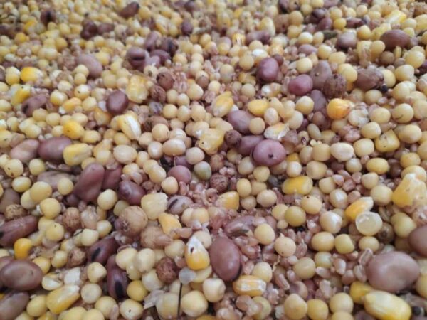 SUPER BAITS Mixtura 5 kilos GROSS