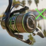 CARRETE MEXT  URBAN F5000