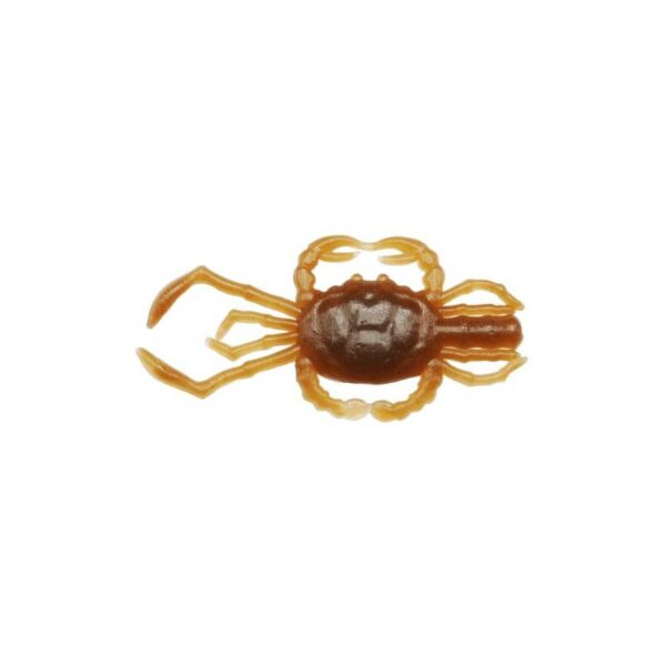 REINS CRAB 2.8 COLOR TRITODYNAMIA HORVATHI