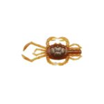 REINS CRAB 1.8 COLOR TRITODYNAMIA HORVATHI