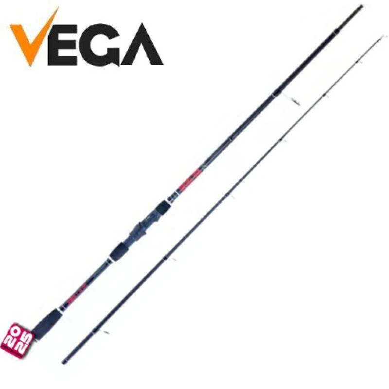 Caña Vega Seacore SPIN 220 7–40g